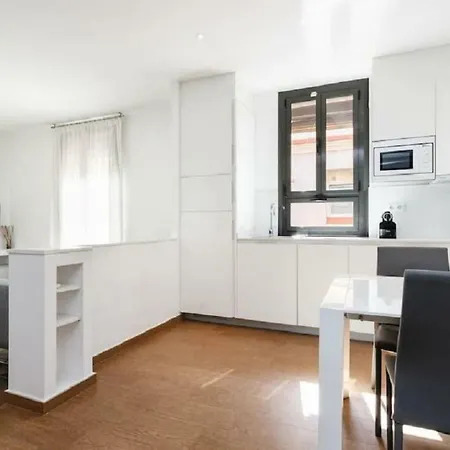 Apartment Homenfun Sants Station *